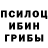 Псилоцибиновые грибы Psilocybe wxerxh