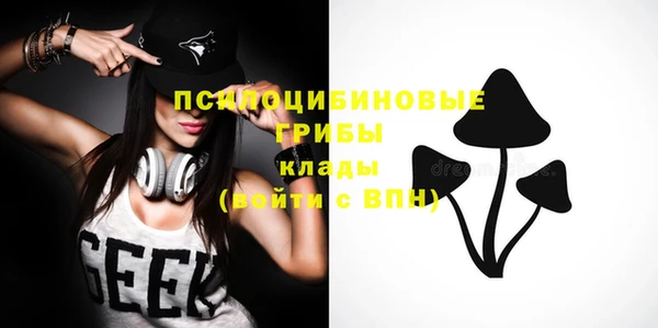 эйфоретик Верея