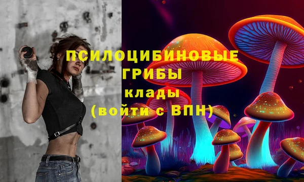 эйфоретик Верея