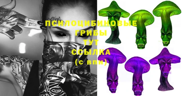 эйфоретик Верея