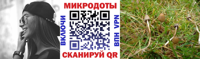 наркотики  ссылка на мегу tor  Псилоцибиновые грибы Cubensis  Афипский 